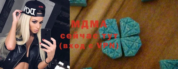 мдпв Каменка