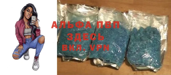 мдпв Каменка