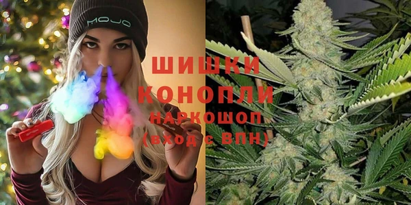 мдпв Каменка
