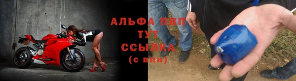 тгк Каменногорск