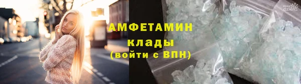 мдпв Каменка
