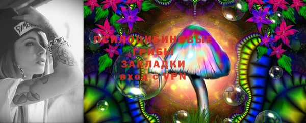 тгк Каменногорск