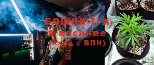 тгк Каменногорск