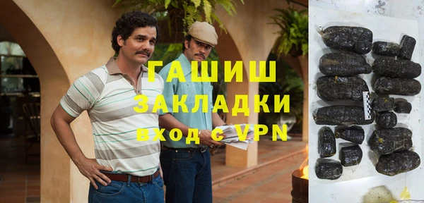 мдпв Каменка