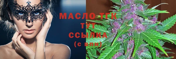 мдпв Каменка