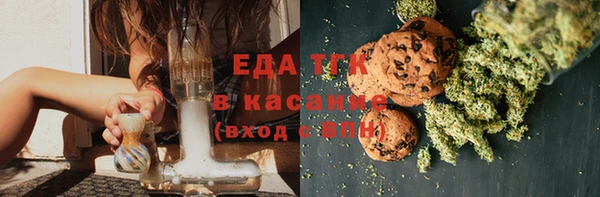 мдпв Каменка