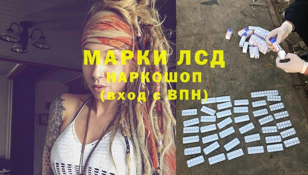 тгк Каменногорск