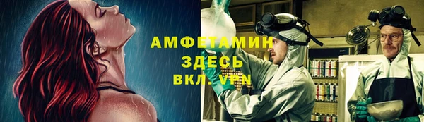 тгк Каменногорск