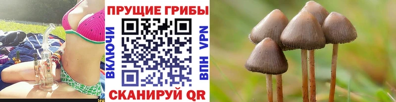 Купить  Зарайск  Псилоцибиновые грибы ЛСД 